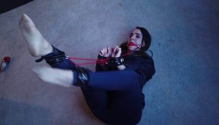 0487 Zara in Blouse and Cuffs