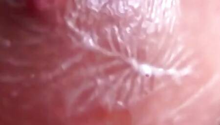 Her Wet, Pronounced Breasts Are the Most Beautiful Thing in the World.