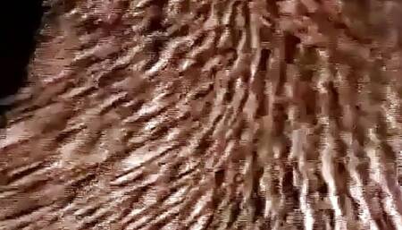 Russian teens part 19