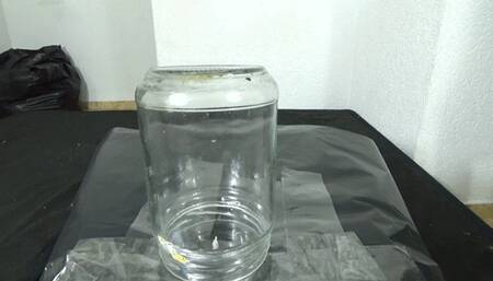 DEVIL BRUNETTE PAWG FARTING VERY DIRTY FOR YOU TO SWALLOW ALL OF YOUR DIRTY BY SCARLET WHITE CAM BY ALINE FULL HD