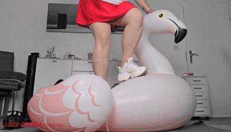 Mila - Lifeguard advanced - Part 1