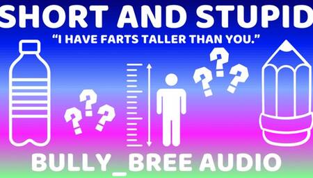 Short And Stupid Audio