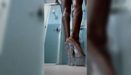 Black Beauty Body