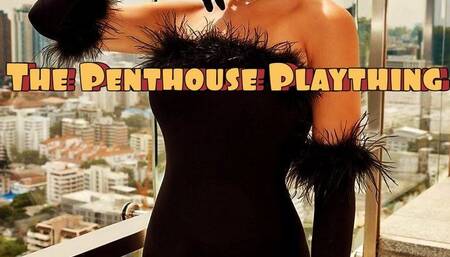 Luxury Submission: The Penthouse Plaything Findom Audio Experience
