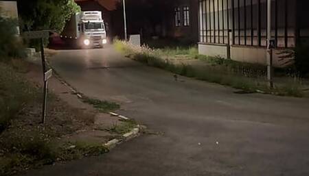 Exhib in front of a taxi and truck with cum