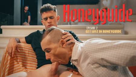 HONEYGUIDE PT 2 Twink Perv Smashed By Rich Roommie