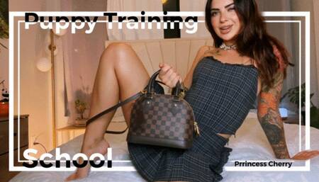 Puppy Training School