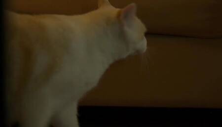 Bluette Alex Ak and Selina Ak