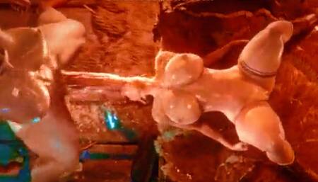 sex 3d anmiation game play