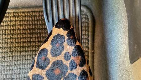 (AUDIO) Pedal to the Metal (Fast Driving with Janessa)