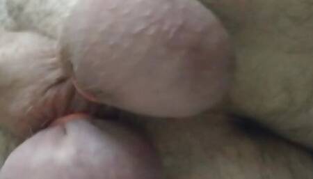 Catching my balls with an elastrator and tightly laced