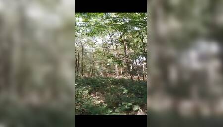 Walk in woods