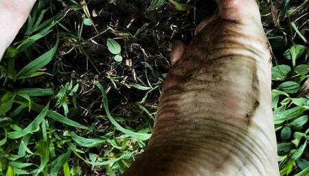 Outdoor Dirty Feet
