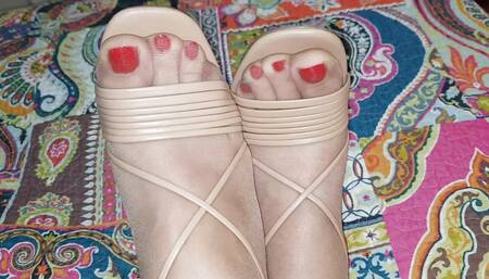 Dani_Leg Monster Cumshot on Amazing Legs in Sexy Tan Pantyhose