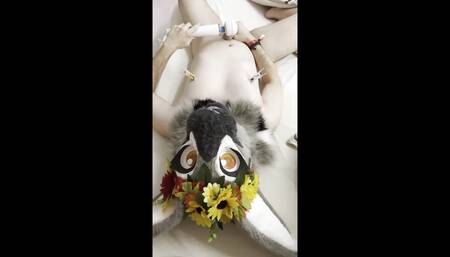 Furry Fursuit Cum on Face  Cum on Own Fursuit Head