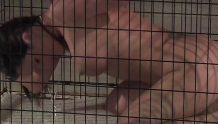 Brunette teen gets played with