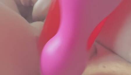 Toys bum pussy fun