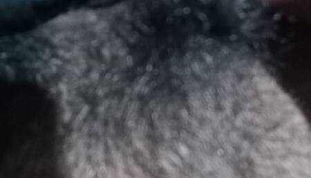 Roshan 87
