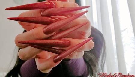 Worship My Divine Stiletto Nails JOI