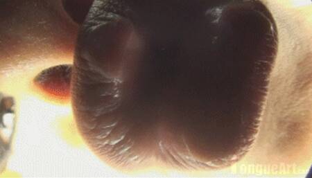 Paris "Kiss Me" 1920x1080