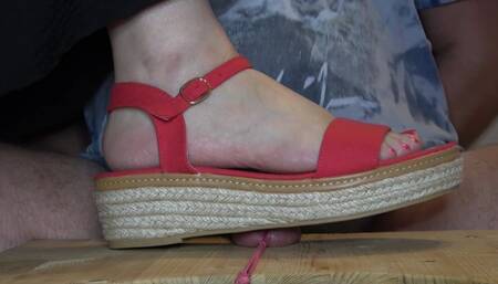 Cock stomping, trampling and crushing