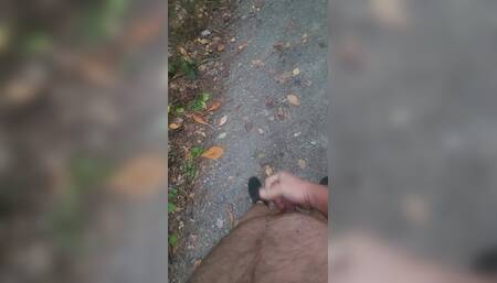 Went for a nude walk.