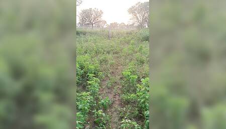 Cumming inside my friend ass video