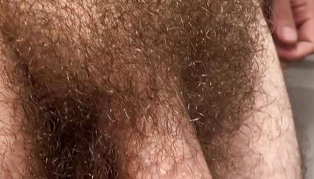 4K extreme close-up tour of my very bushy all-natural pubic hair, with foreskin play