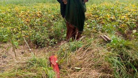 Village bhabhi ko pda kr chudai kri