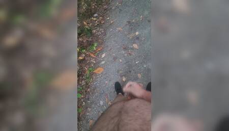 Went for a Nude Walk.