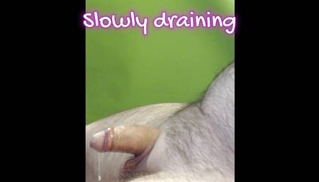 Prostate Milking Heaven Redux