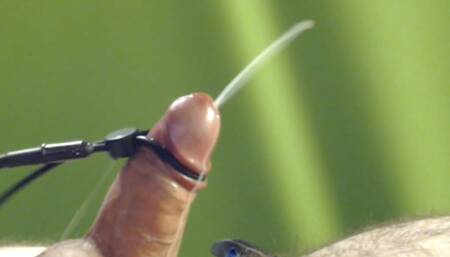 Assorted estim cumshots