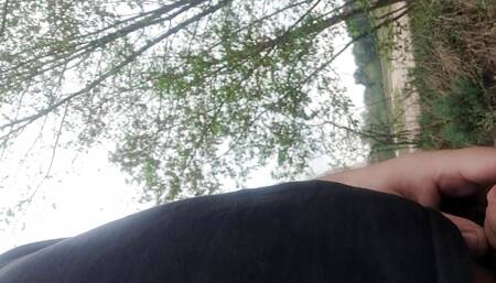 walk past the parking lot and masturbate