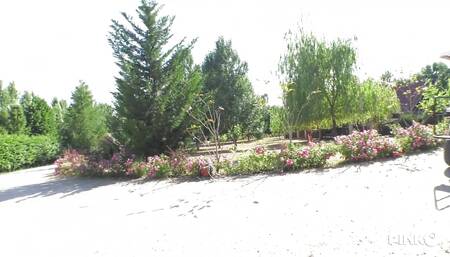 The slutty countess Malena fucked in her ass by her grooms