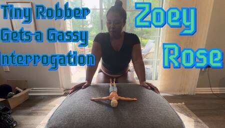Zoey's Fart Interrogation on Tiny Robber