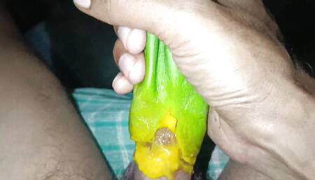 If Girls Can Have Sex with Eggplant, We Can Have Sex with Mango