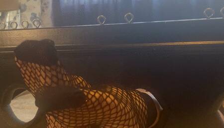 Kitty gets tickled in stocks by Harmony Again