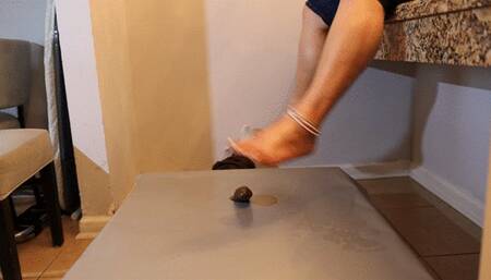 Dick Kick duo and trampling with Nina