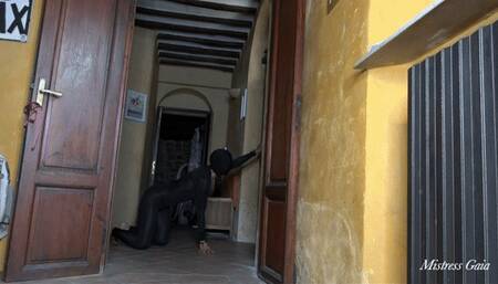 MISTRESS GAIA - LESBIAN PUNISHMENT - HD