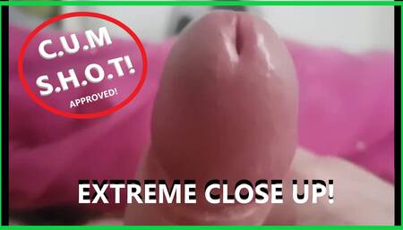 Extreme Closeup of my Very Thick Cock Cumming while i rub it till i moan and cum HARD!