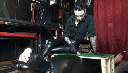 Countess Nyx's cock box play