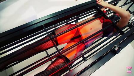 Two Brunette Girls in Red Lingerie Are Getting Busy with Each Other Wildly