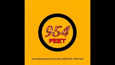 Ms Lucy beast car FJ