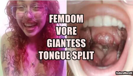 Tiny Slave's Final Mission