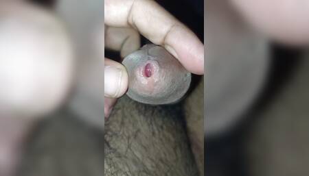 SEE MY HORNY DICK AND SUCK