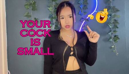 Your Cock Is Small