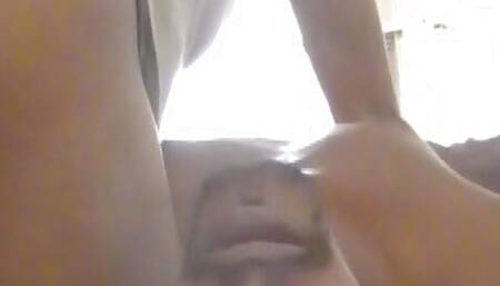 punani whisperer 8 hide your cats