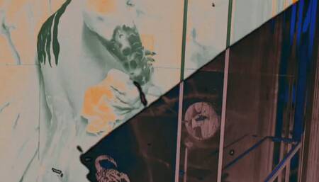 Shower Clean with Sapphira