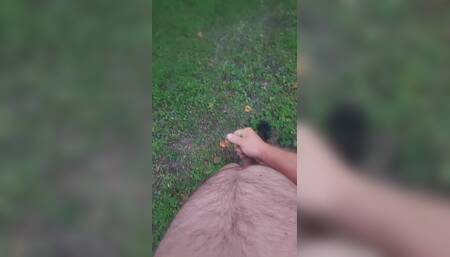 Walk and jerk