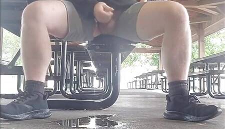 Cum and Piss in a Very Public Location.